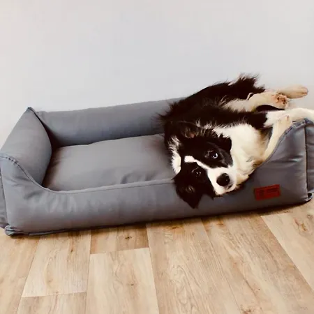 Zentral, Ruhig & Stilvoll Mit Bergpanorama+ Garten Appartement Garmisch-Partenkirchen